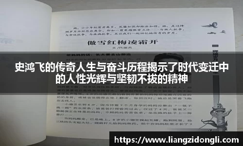 史鸿飞的传奇人生与奋斗历程揭示了时代变迁中的人性光辉与坚韧不拔的精神