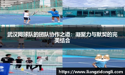武汉网球队的团队协作之道：凝聚力与默契的完美结合